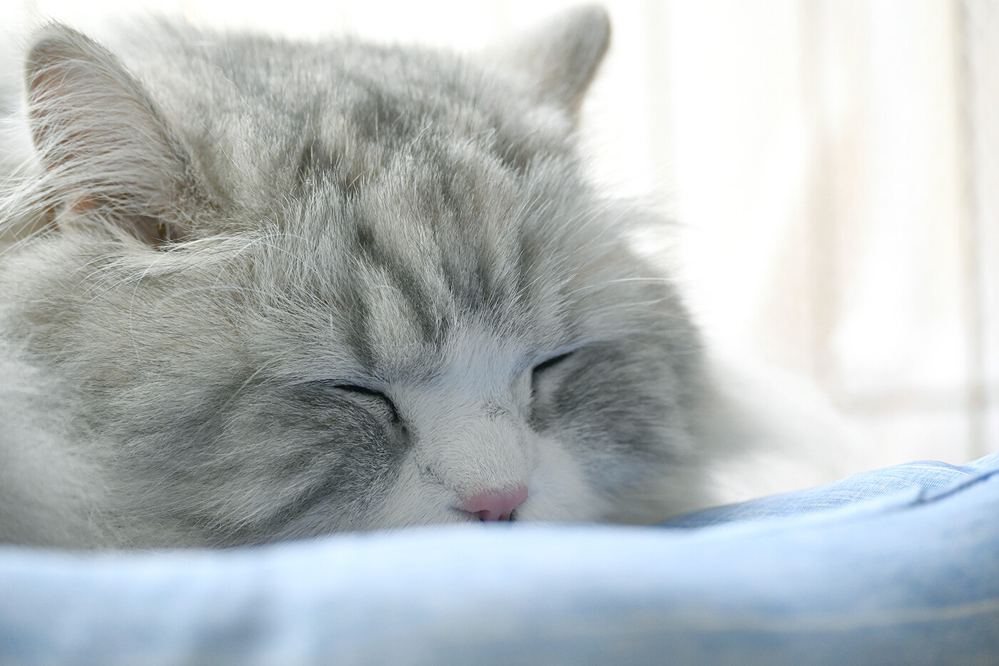 幸せな毎日